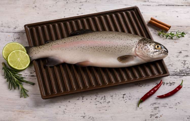 Bhutan Rainbow Trout